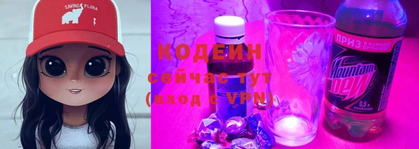 ПСИЛОЦИБИНОВЫЕ ГРИБЫ Верея