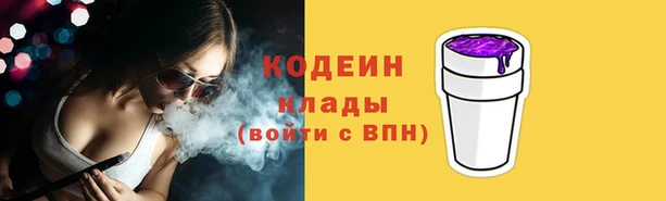 ПСИЛОЦИБИНОВЫЕ ГРИБЫ Верея