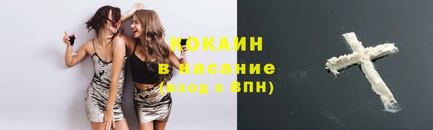 ПСИЛОЦИБИНОВЫЕ ГРИБЫ Верея