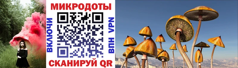 Купить закладки  Котово  Псилоцибиновые грибы Psilocybine cubensis 