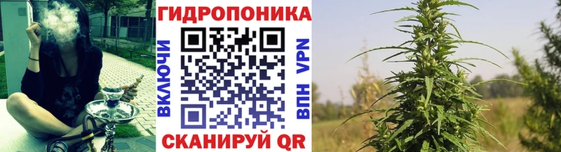 Купить закладки  Котово  Канабис план 